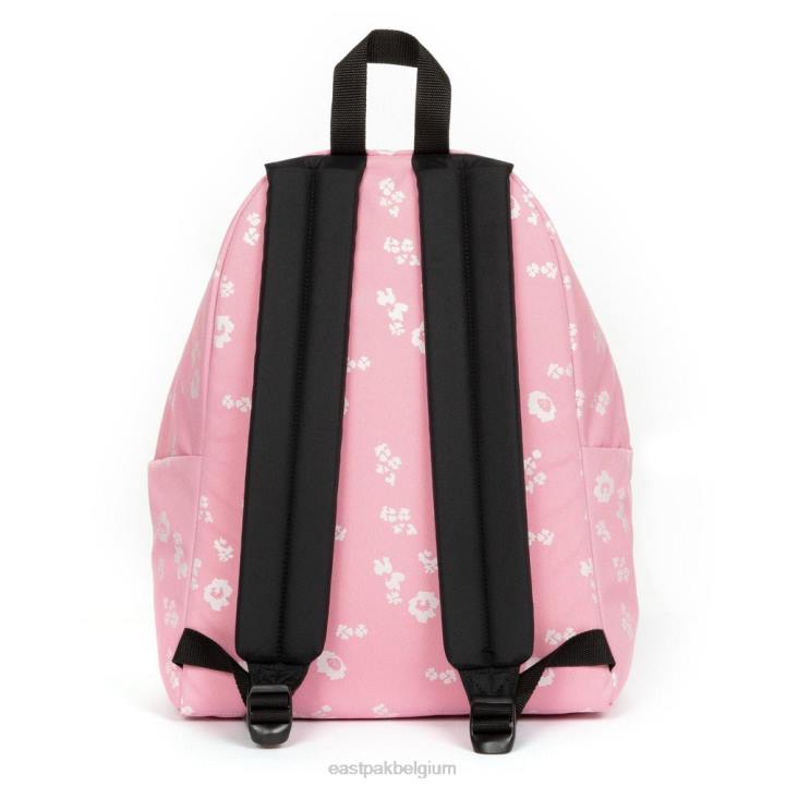 Eastpak gewatteerde pak'r bloem schijnt roze rugzakken J2ZH141