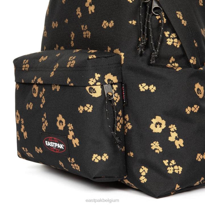 Eastpak gewatteerde pak'r bloem schijnt zwart rugzakken J2ZH137