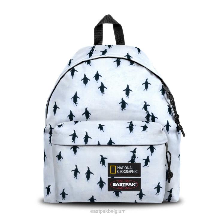 Eastpak gewatteerde pak'r ng peng uin rugzakken J2ZH7