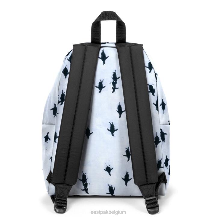 Eastpak gewatteerde pak'r ng peng uin rugzakken J2ZH7