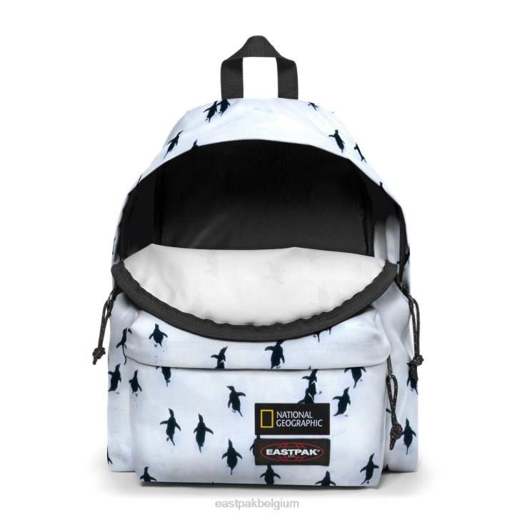 Eastpak gewatteerde pak'r ng peng uin rugzakken J2ZH7