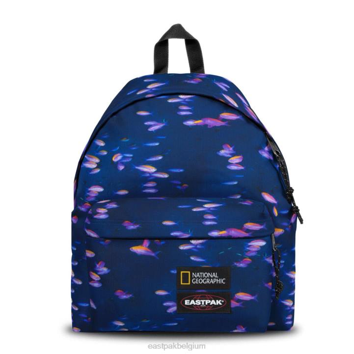 Eastpak gewatteerde pak'r ng vis rugzakken J2ZH8