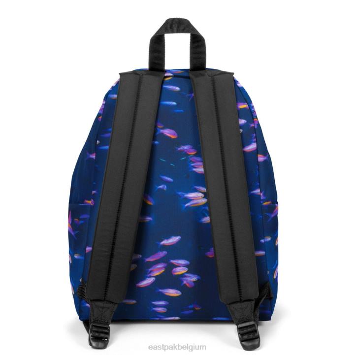 Eastpak gewatteerde pak'r ng vis rugzakken J2ZH8