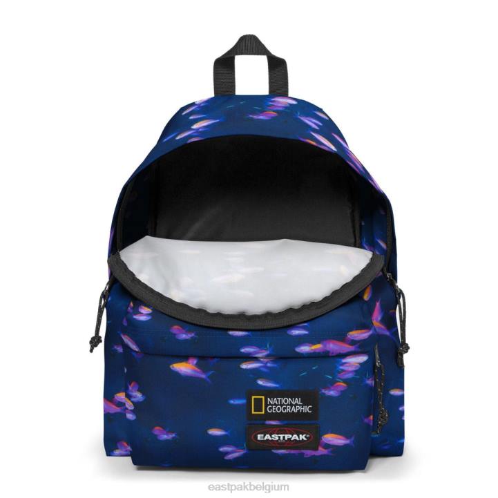 Eastpak gewatteerde pak'r ng vis rugzakken J2ZH8