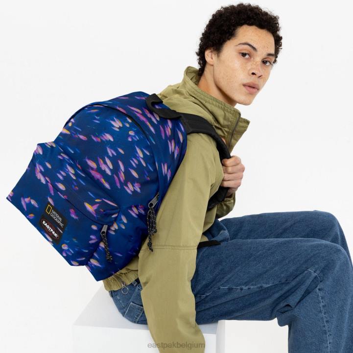Eastpak gewatteerde pak'r ng vis rugzakken J2ZH8