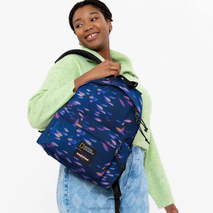 Eastpak gewatteerde pak'r ng vis rugzakken J2ZH8