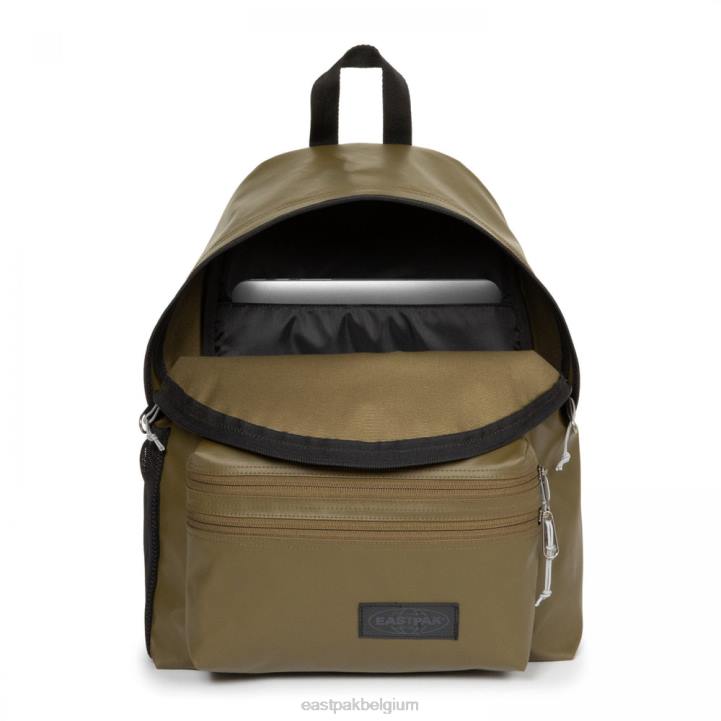 Eastpak gevoerde ritssluiting zeil leger rugzakken J2ZH113