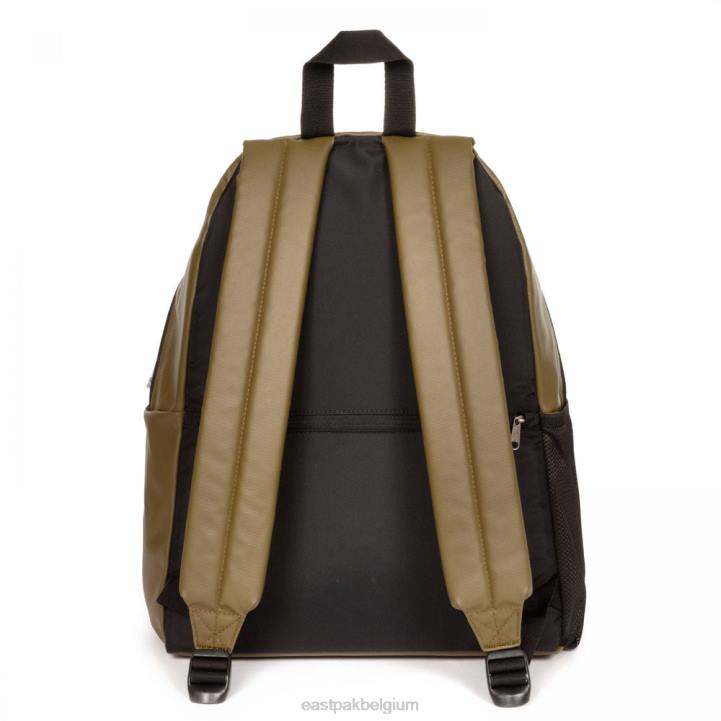 Eastpak gevoerde ritssluiting zeil leger rugzakken J2ZH113