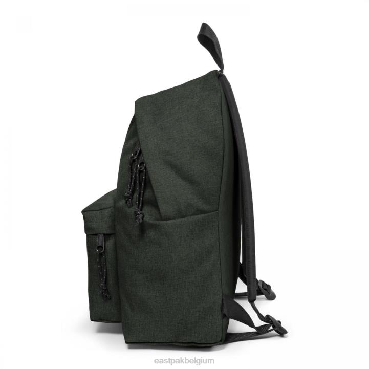Eastpak gewatteerde pak'r sluw mos rugzakken J2ZH121