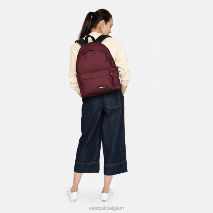 Eastpak gewatteerde pak'r sluwe wijn rugzakken J2ZH102