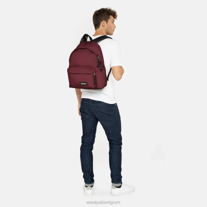Eastpak gewatteerde pak'r sluwe wijn rugzakken J2ZH102