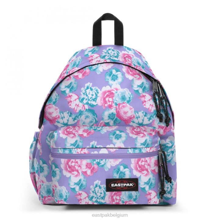 Eastpak gewatteerde zippl'r + mystieke sering rugzakken J2ZH38