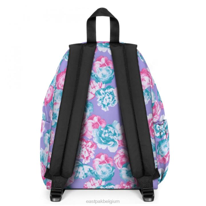 Eastpak gewatteerde zippl'r + mystieke sering rugzakken J2ZH38
